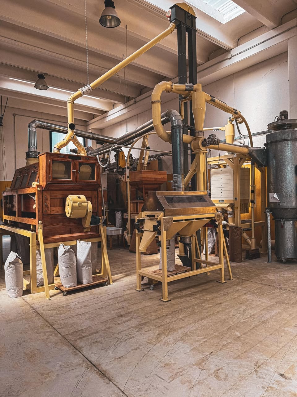 Progetto di rilancio "su Mulinu"